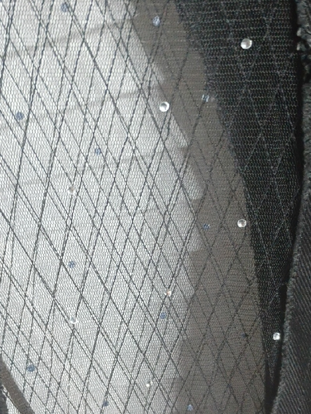 Black Mesh Panel Pants - Picture 3 of 7